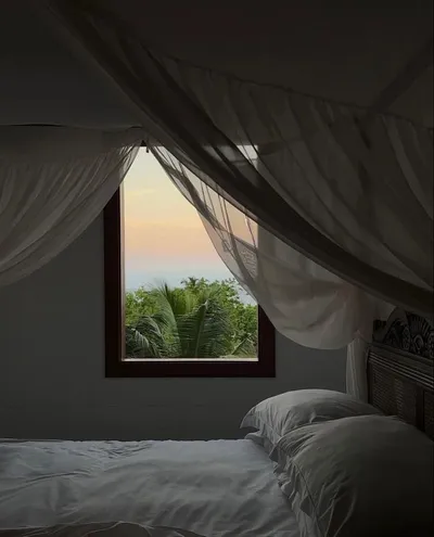 Canopy bed by a window with a tropical view