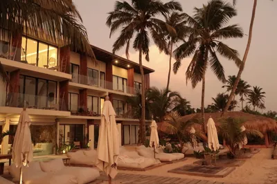 Hotel with palm trees in the evening light
